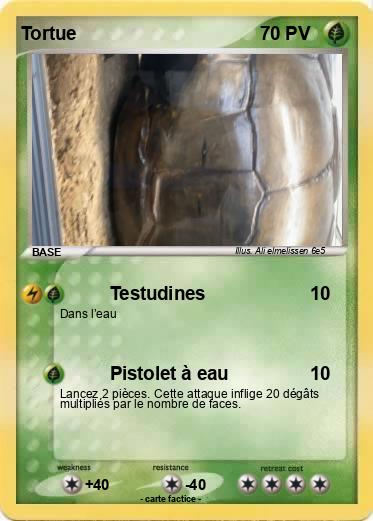 Pokemon Tortue