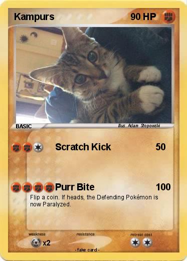 Pokemon Kampurs