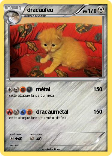 Pokemon dracaufeu
