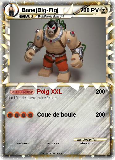 Pokemon Bane(Big-Fig)