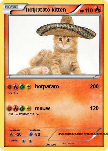 Pokemon hotpatato kitten