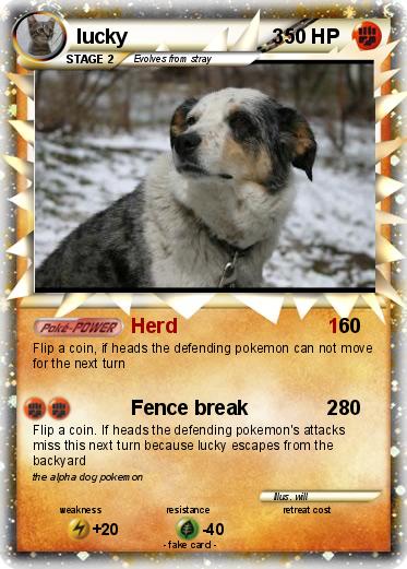 Pokemon lucky                          3