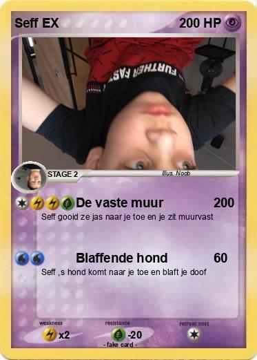 Pokemon Seff EX