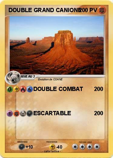 Pokemon DOUBLE GRAND CANIONE