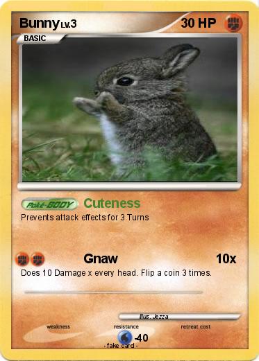 Pokemon Bunny