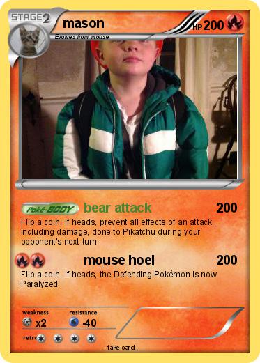 Pokemon mason