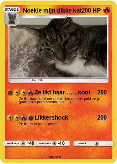 Pokemon Noekie mijn dikke kat