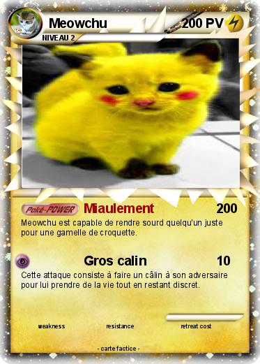 Pokemon Meowchu