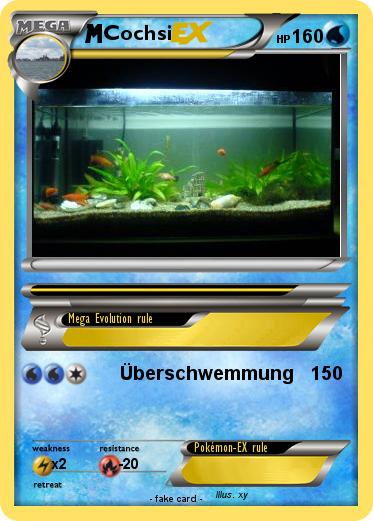 Pokemon Cochsi