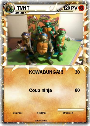Pokemon TMNT