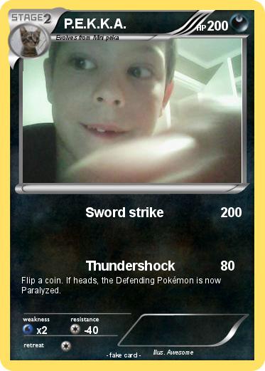 Pokemon P.E.K.K.A.