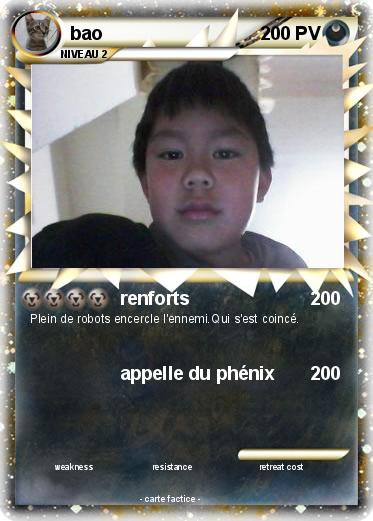 Pokemon bao