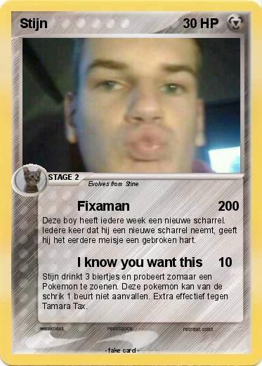 Pokemon Stijn