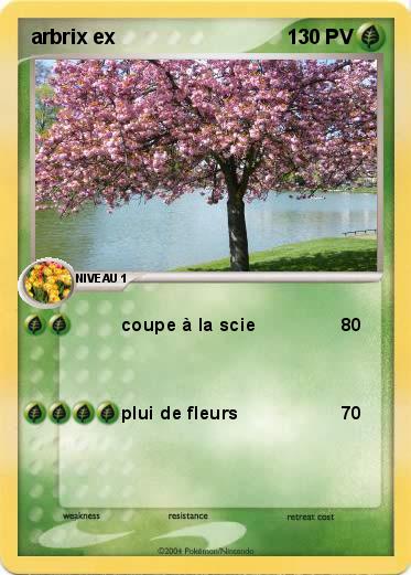 Pokemon arbrix ex