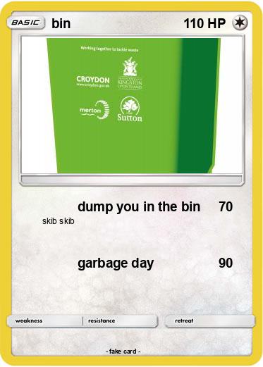 Pokemon bin