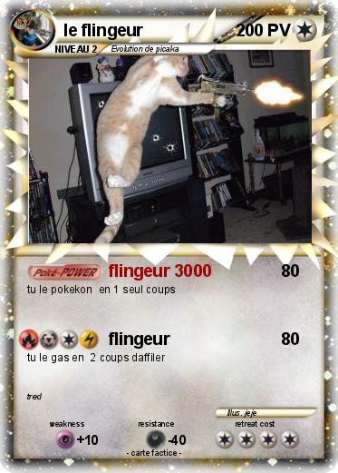 Pokemon le flingeur