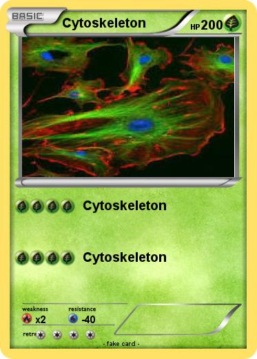 Pokemon Cytoskeleton