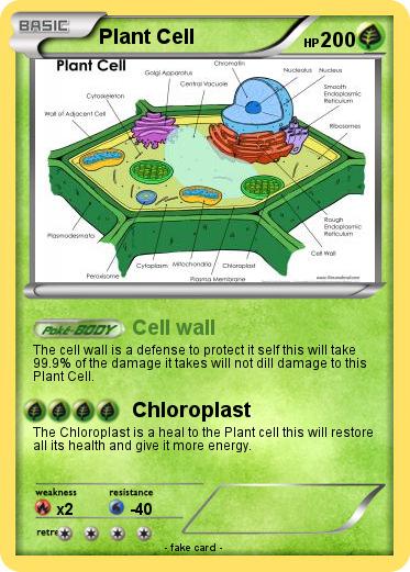 Pokemon Plant Cell