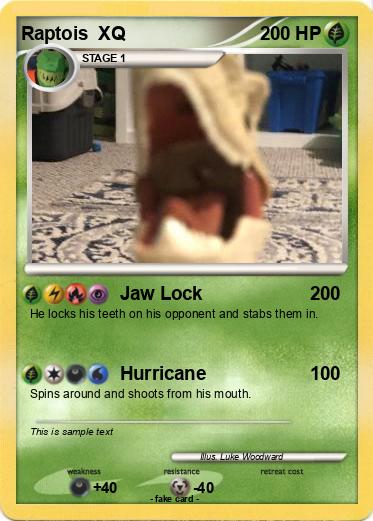 Pokemon Raptois  XQ