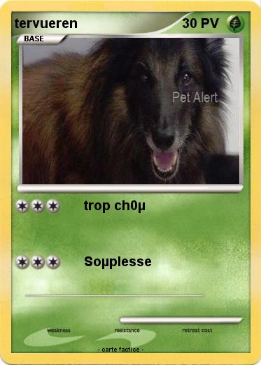 Pokemon tervueren
