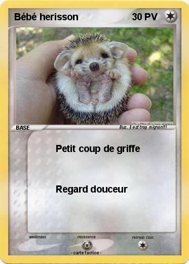 Pokemon Bébé herisson