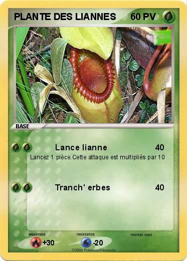 Pokemon PLANTE DES LIANNES