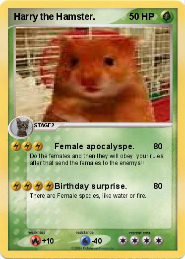 Pokemon Harry the Hamster.
