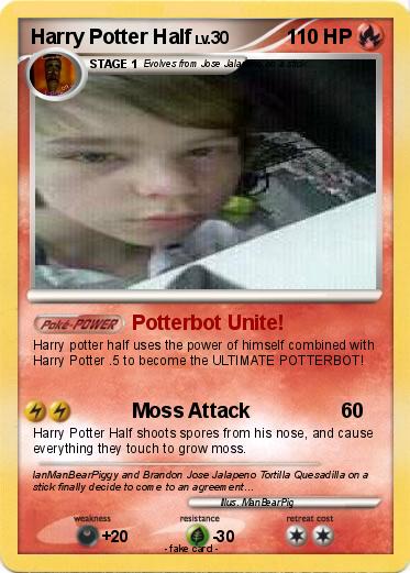 Pokemon Harry Potter Half