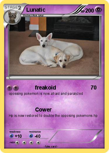 Pokemon Lunatic