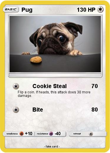 Pokemon Pug