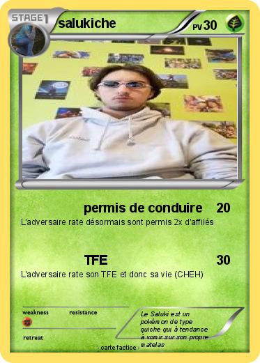 Pokemon salukiche
