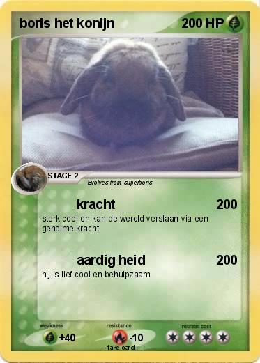 Pokemon boris het konijn