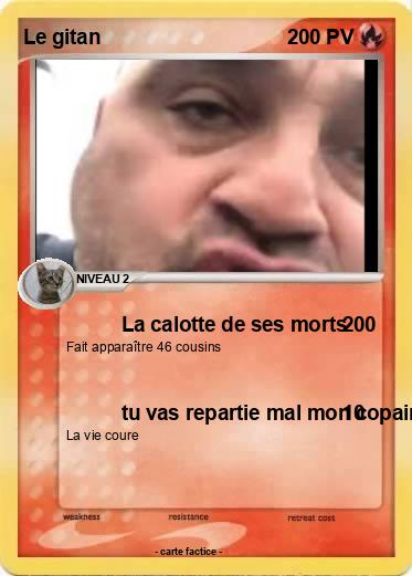 Pokemon Le gitan