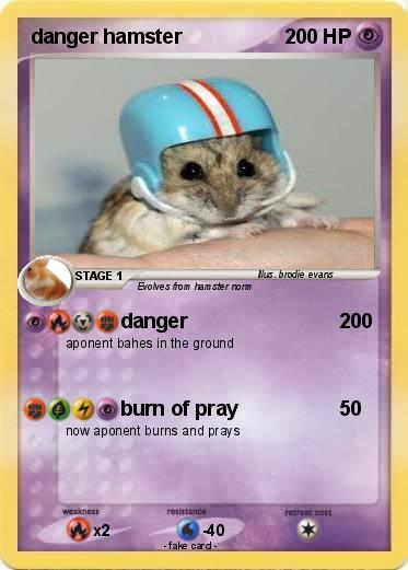 Pokemon danger hamster