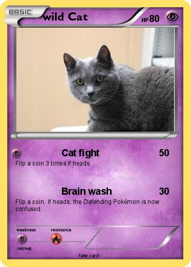 Pokemon wild Cat