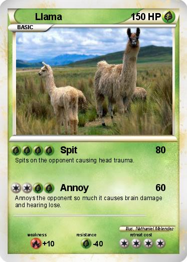 Pokemon Llama