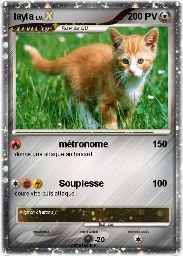 Pokemon layla