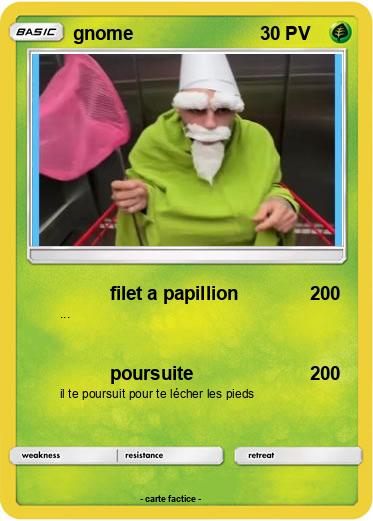 Pokemon gnome