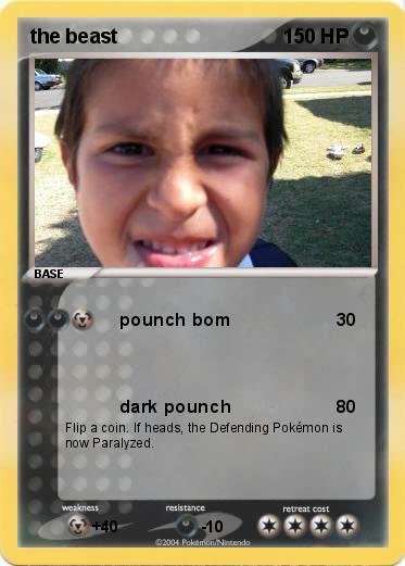 Pokemon the beast