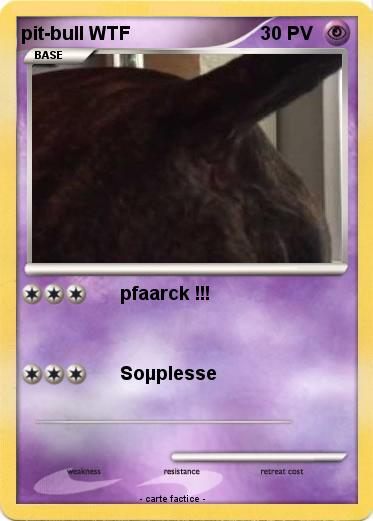 Pokemon pit-bull WTF