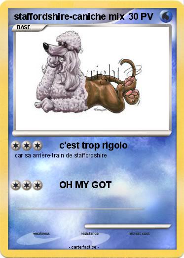 Pokemon staffordshire-caniche mix
