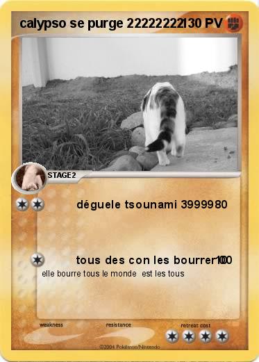 Pokemon calypso se purge 22222222