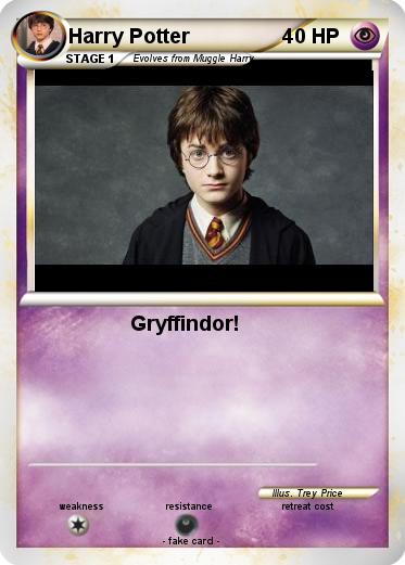 Pokemon Harry Potter