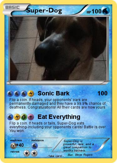 Pokemon Super-Dog