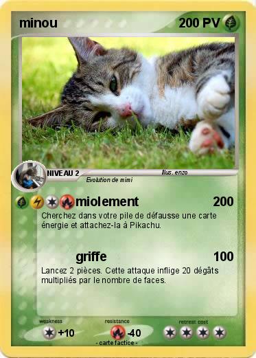 Pokemon minou