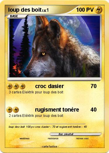Pokemon loup des boit