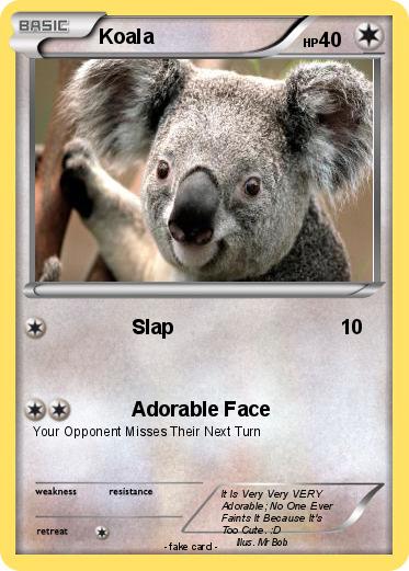 Pokemon Koala