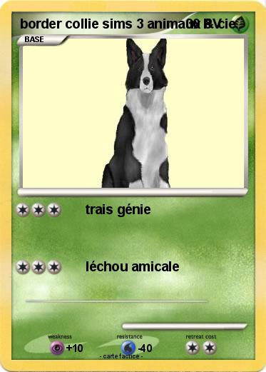 Pokemon border collie sims 3 animaux & cie