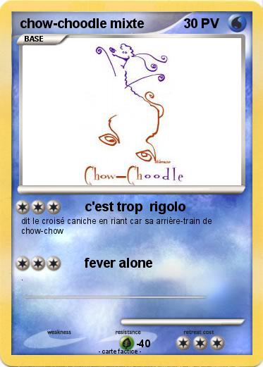 Pokemon chow-choodle mixte