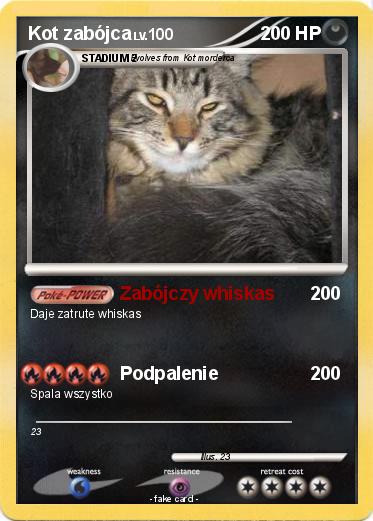 Pokemon Kot zabójca